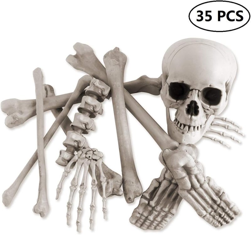 GameXcel Halloween Skeleton Bones and a Skull - Plastic Life-Size Bones Set Yard Decoration - Props for Graveyard Haunted House Indoor & Outdoor Deco (35PCS) - Image 2